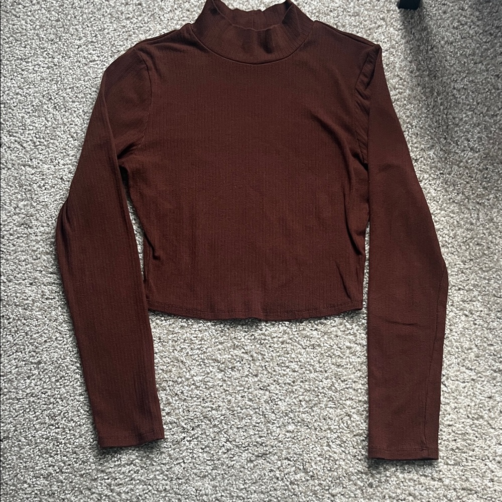 Brown Long Sleeve Turtleneck Top